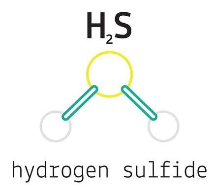 硫化氢是电解质吗气体中除去硫化氢三种常用方法硫化氢检测仪的使用